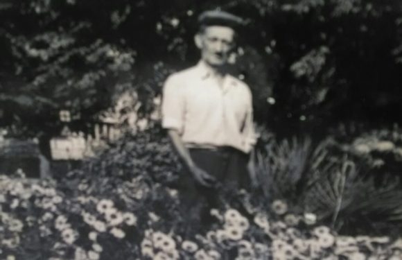 PARKOVI I DRVOREDI MATE ŠIMIĆA (1910-1990)