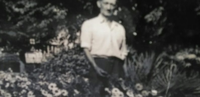 PARKOVI I DRVOREDI MATE ŠIMIĆA (1910-1990)