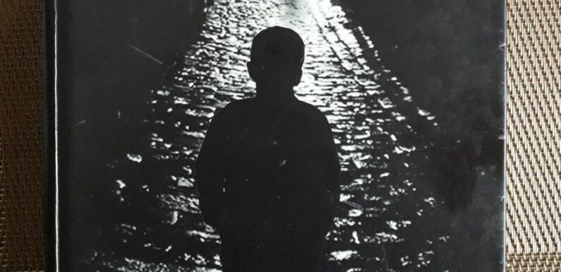 Nedžad Maksumić(1961): TREĆE LICE JEDNINE