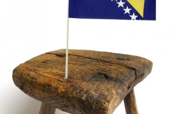 O BOSANSKOM TRONOŠCU