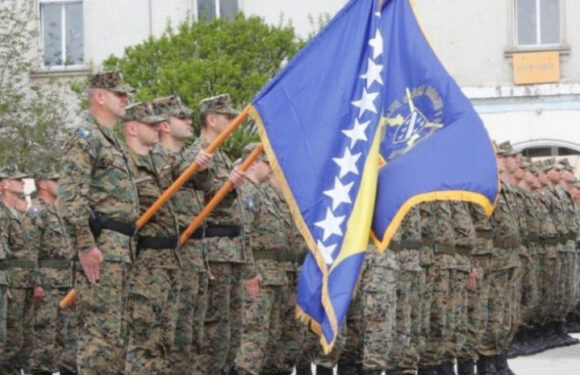 Dan kada je formirana Armija Republike Bosne i Hercegovine, 30 godišnjica
