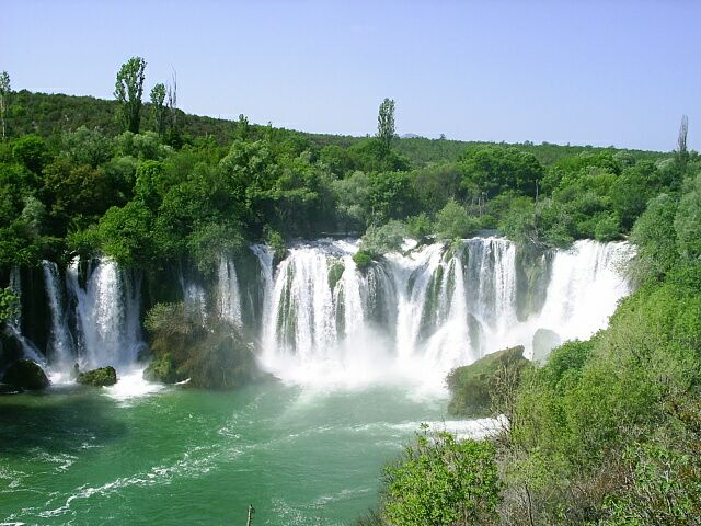 kravica