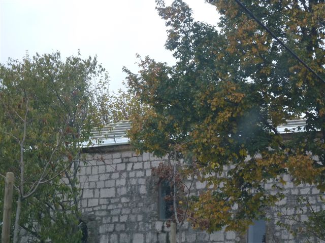 oluci1