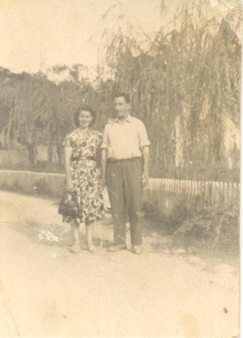 hajrovitina