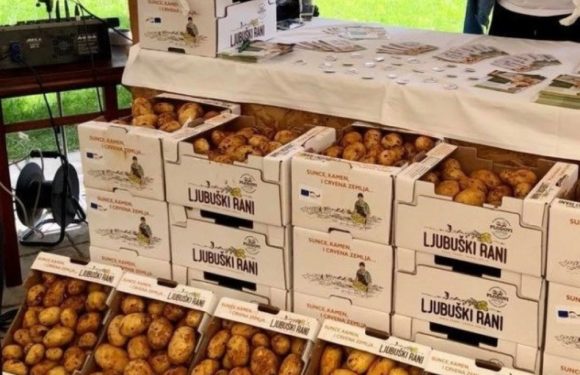 Od krumpira napravili robnu marku: Sav urod “Ljubuškog Ranog” uspješno prodali!
