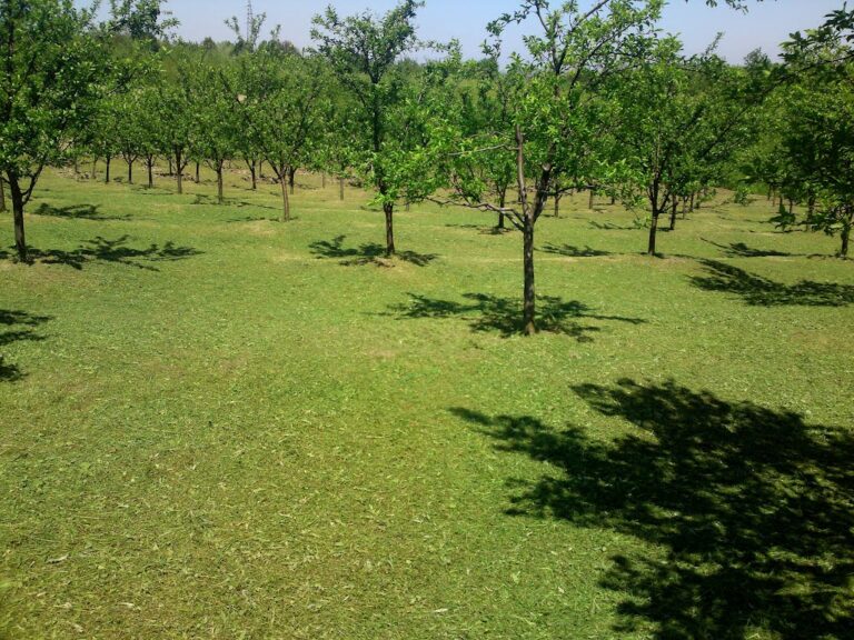 Na kraju – prazne ruke – Ljubušaci