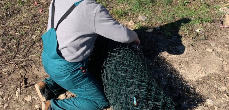 Nastavak radova u nekoliko slika