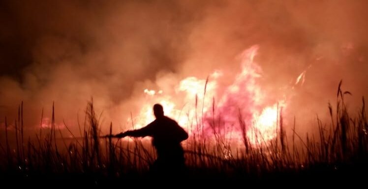 Ljubuški vatrogasci proteklog vikenda imali pune ruke posla