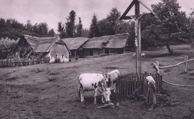 Agrarna reforma i oduzimanje bošnjačke zemlje u monarhističkoj Jugoslaviji (1918 – 1941)