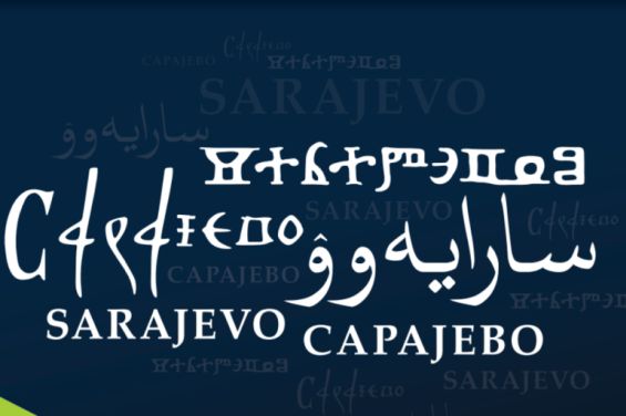 Bosanski jezik osporavaju, a pisan je na pet različitih pisama